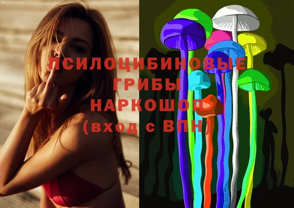 дурь Алексеевка